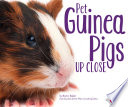 Pet Guinea Pigs Up Close cover