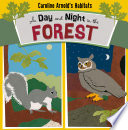 A Day and Night in the Forest cover