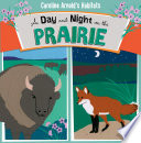 A Day and Night on the Prairie cover