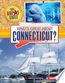 What's Great About Connecticut? cover