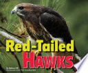 Red-Tailed Hawks cover