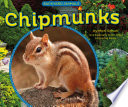 Chipmunks (Capstone) cover