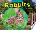 Rabbits cover