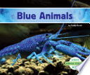Blue Animals cover
