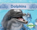 Dolphins cover