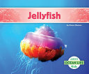 Jellyfish cover