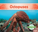 Octopuses cover