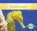 Seahorses cover
