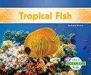 Tropical Fish cover