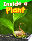 Inside a Plant cover