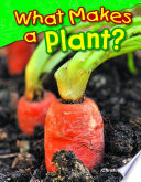 What Makes a Plant cover
