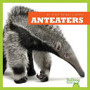 Anteaters cover