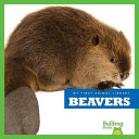 Beavers cover