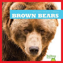 Brown Bears cover