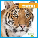 Tigers cover