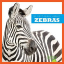 Zebras cover