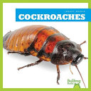Cockroaches cover