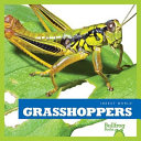 Grasshoppers cover