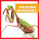 Praying Mantises cover