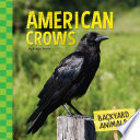 American Crows cover