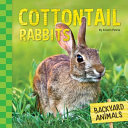 Cottontail Rabbits cover