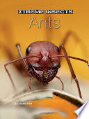 Ants cover