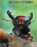Beetles cover