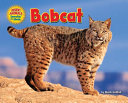 Bobcat cover