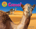 Camel cover