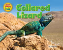 Collared Lizard cover