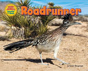 Roadrunner cover