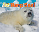 Harp Seal cover