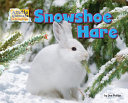 Snowshoe Hare cover