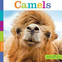 Camels (Seedlings) cover