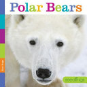 Polar Bears cover