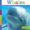 Whales (Seedlings) cover