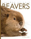 Beavers cover