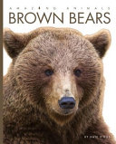 Brown Bears cover