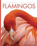 Flamingos cover