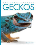 Geckos cover