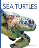 Sea Turtles cover