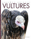 Vultures cover