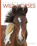 Wild Horses cover