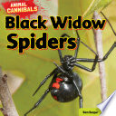 Black Widow Spiders cover