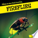 Fireflies cover