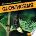 Glowworms cover