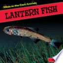 Lantern Fish cover