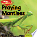Praying Mantises cover