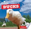 Ducks cover