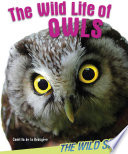 The Wild Life of Owls cover